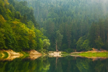 Milli Parklar Kanunu